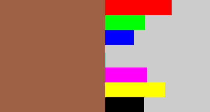 Hex color #a06045 - earth