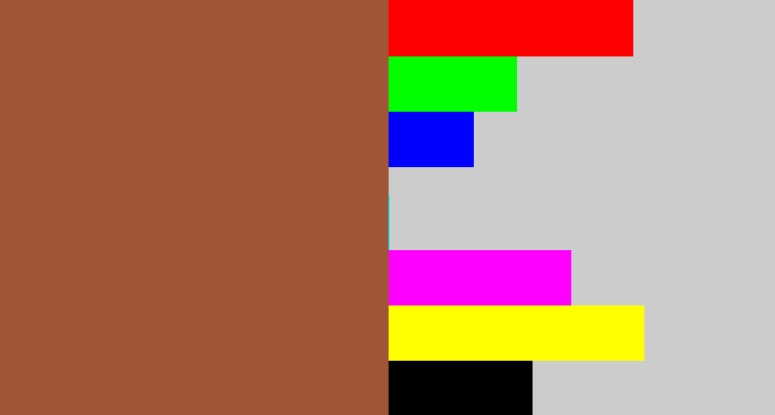 Hex color #a15537 - earth
