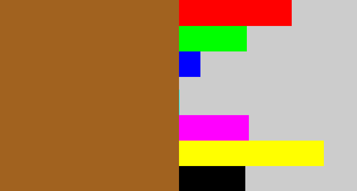Hex color #a1621f - sienna