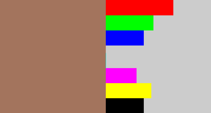 Hex color #a3745d - brownish