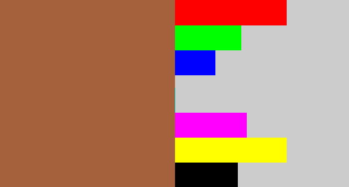 Hex color #a4613b - earth