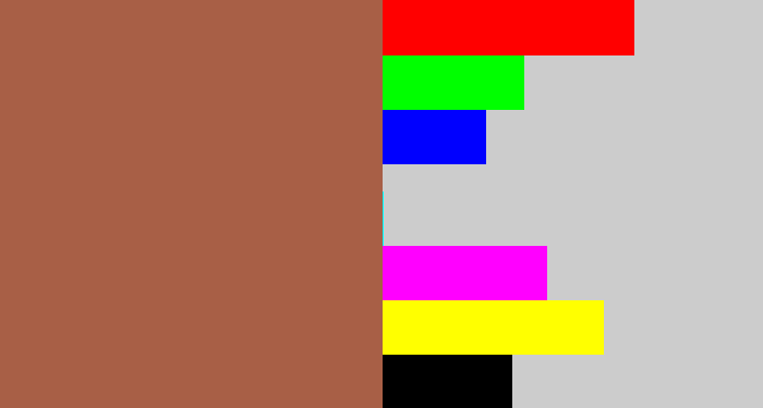 Hex color #a85f46 - earth