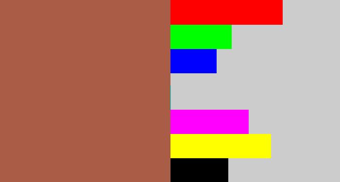 Hex color #a95c46 - earth