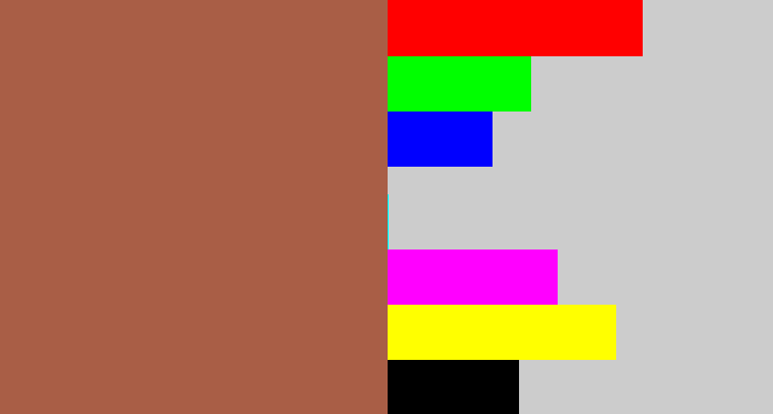 Hex color #a95e46 - earth