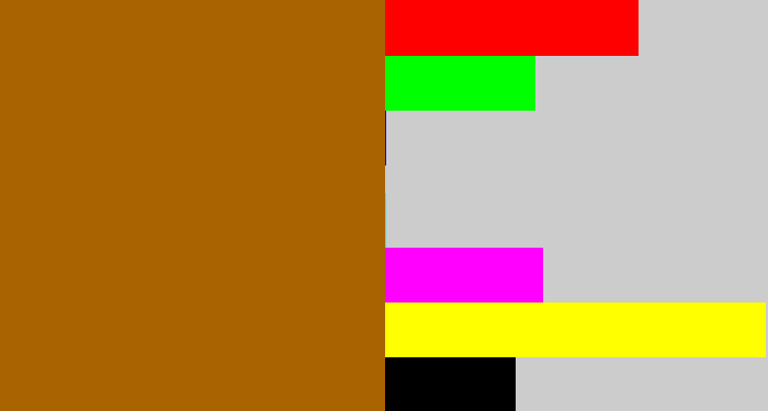 Hex color #a96301 - orangey brown