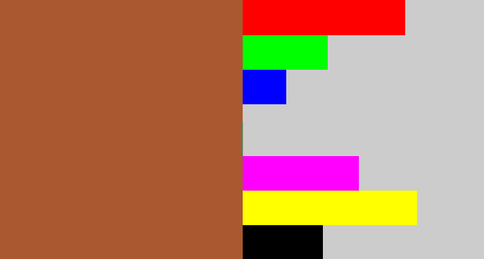 Hex color #aa582f - sienna