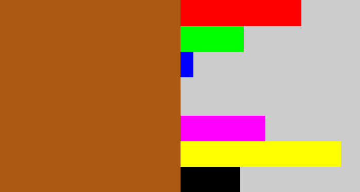 Hex color #aa5a12 - raw umber