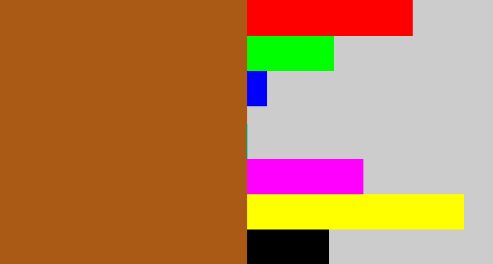 Hex color #aa5a15 - sienna