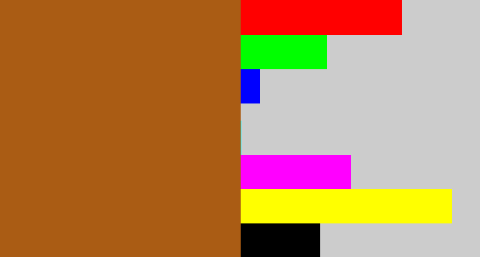 Hex color #aa5c14 - raw umber