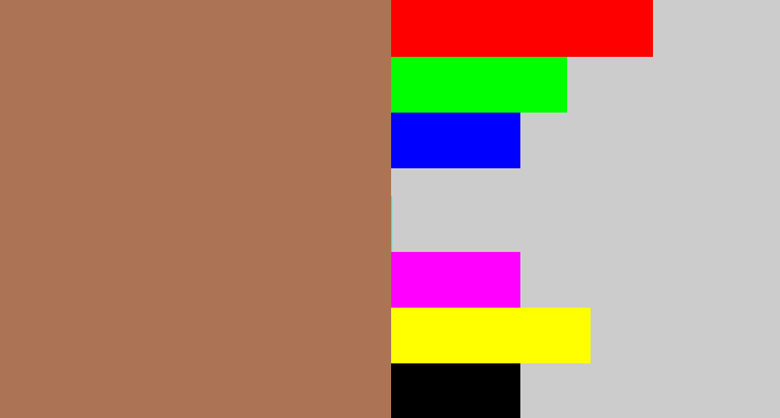 Hex color #ac7454 - puce