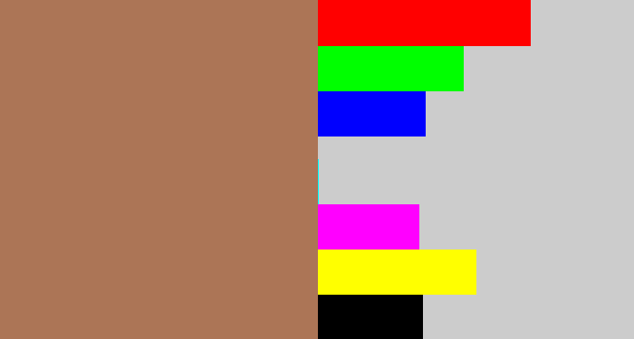 Hex color #ac7556 - puce