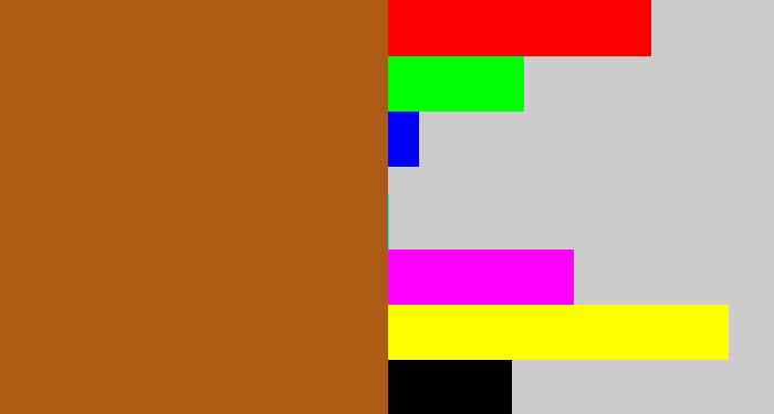 Hex color #ad5a14 - sienna