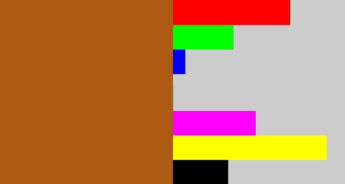 Hex color #ae5a13 - sienna