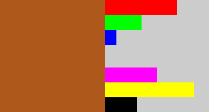 Hex color #af581b - sienna