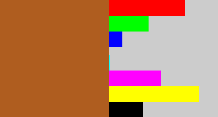 Hex color #af5d1f - sienna