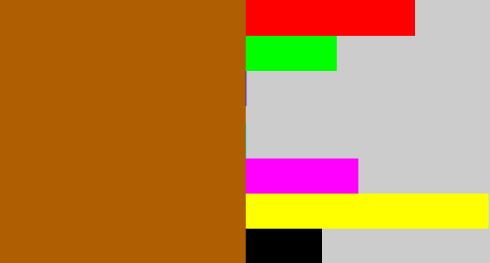 Hex color #af5e01 - orangey brown