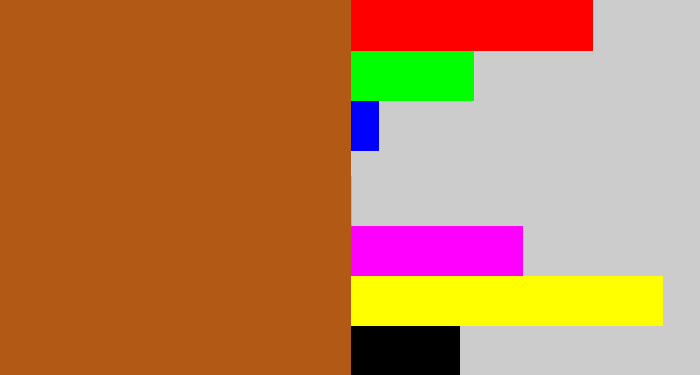 Hex color #b05a14 - sienna