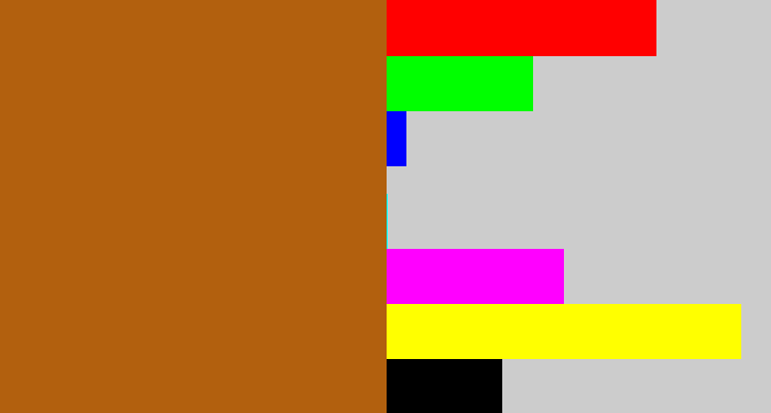 Hex color #b2600e - orangish brown