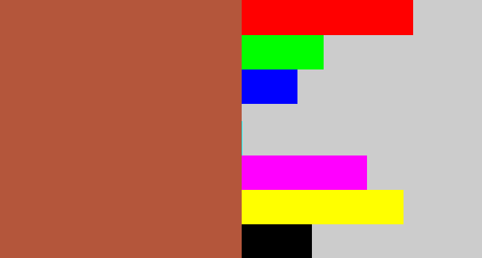 Hex color #b4563b - earth