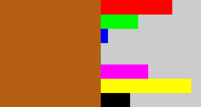 Hex color #b45f12 - orangish brown