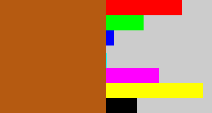 Hex color #b55a11 - burnt sienna