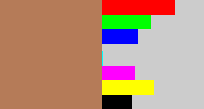 Hex color #b57b58 - light brown