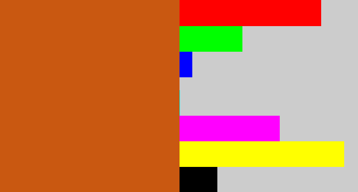 Hex color #c95811 - rusty orange