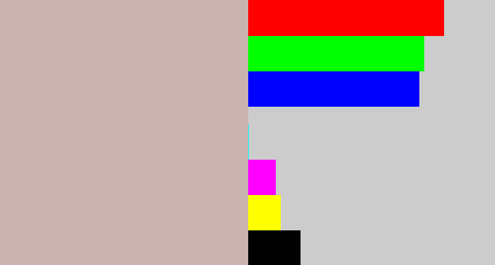 Hex color #cab4b0 - pinkish grey