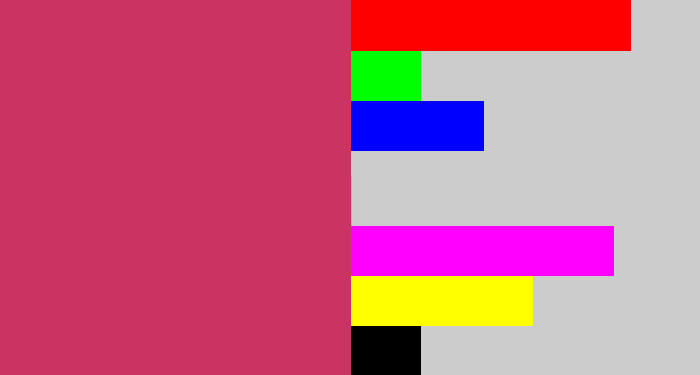 Hex color #cb3362 - dark pink