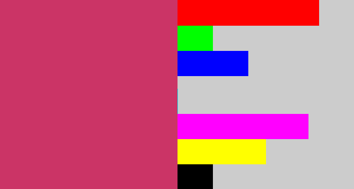 Hex color #cb3466 - dark pink