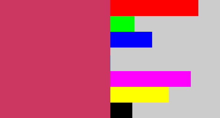 Hex color #cb3760 - dark pink