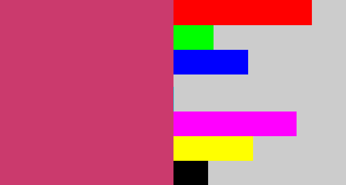 Hex color #cb3a6d - dark pink