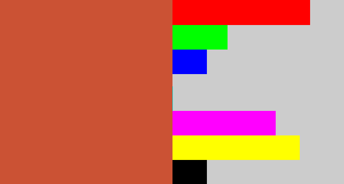 Hex color #cb5234 - terra cotta