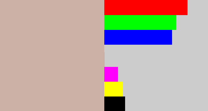 Hex color #cbb1a6 - pinkish grey
