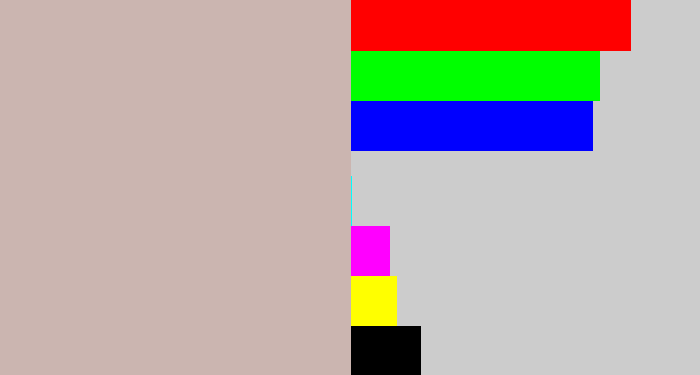 Hex color #cbb5b0 - pinkish grey