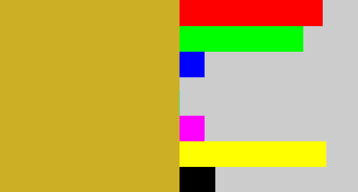Hex color #ccaf24 - dark yellow