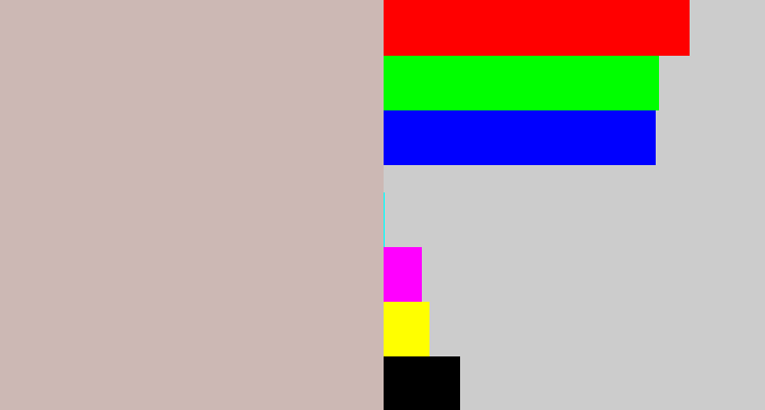 Hex color #ccb8b4 - pinkish grey