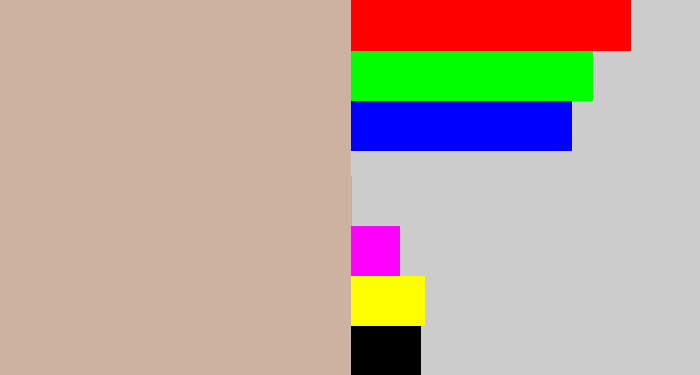 Hex color #cdb1a1 - pinkish grey
