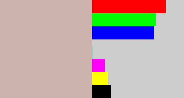 Hex color #cdb1ab - pinkish grey