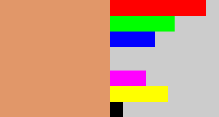 Hex color #e19769 - pinkish tan