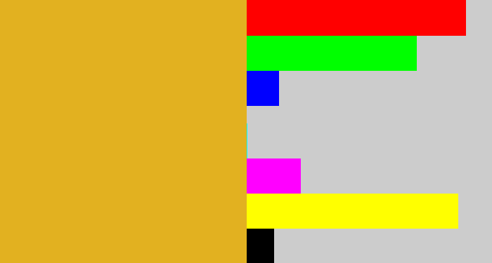 Hex color #e2b120 - squash