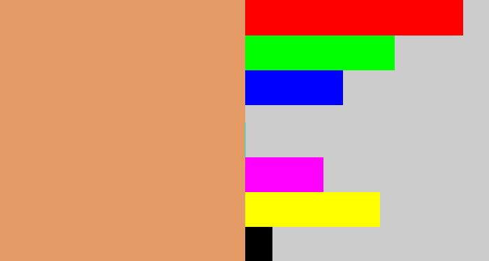 Hex color #e49b66 - sand brown