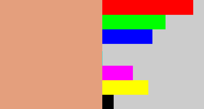Hex color #e49f7d - pinkish tan