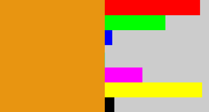 Hex color #e89511 - squash