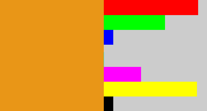Hex color #e99617 - squash
