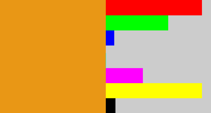 Hex color #e99715 - squash