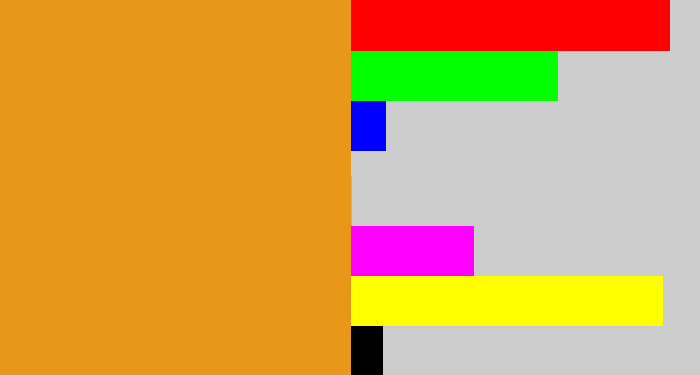 Hex color #e99719 - squash