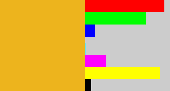 Hex color #edb41d - squash