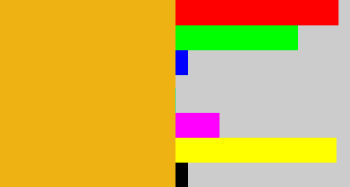 Hex color #eeb212 - squash