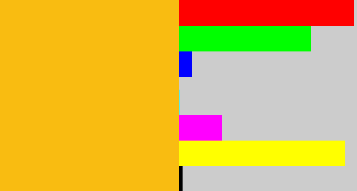 Hex color #f9bc11 - orangey yellow